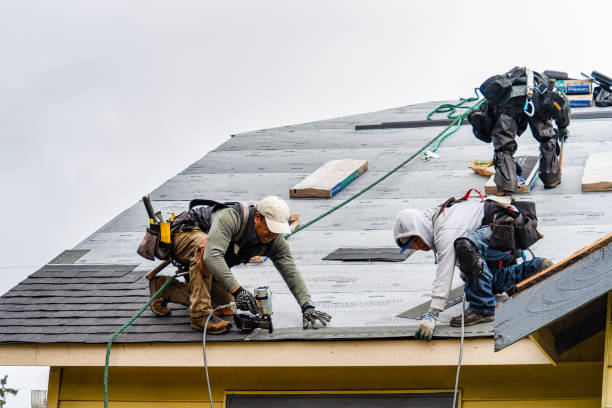 Professional Storm Damage Roof Repair technician working in Key Biscayne, FL